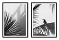 Miniatyrbild 1 av 3: TAVELPOSTERS I RAM 53x73cm Diptyk Set med 2 tavlor Tropiki Grå P2136