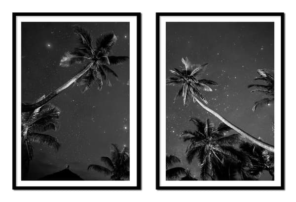 BILLEDPOSTERE I RAMME 53x73cm Diptych Sæt med 2 malerier Palmer om natten P2140