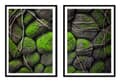 Miniatyrbillede 1 af 3: BILLEDPOSTERE I RAMME 53x73cm Diptych Sæt med 2 billeder Sten Mos P2143