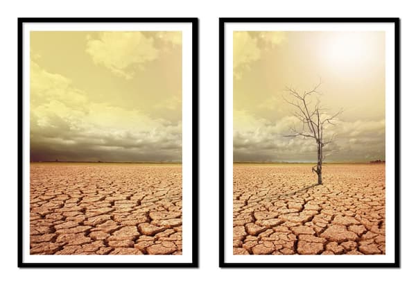 Kehyksissä oleva kuva 53x73cm Diptych 2 maalauksen setti Lonely Tree Boho P2149