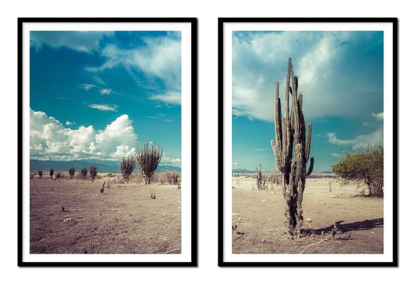BILLEDPOSTERE I RAMME 53x73cm Diptych Sæt med 2 billeder Kaktus Boho P2150