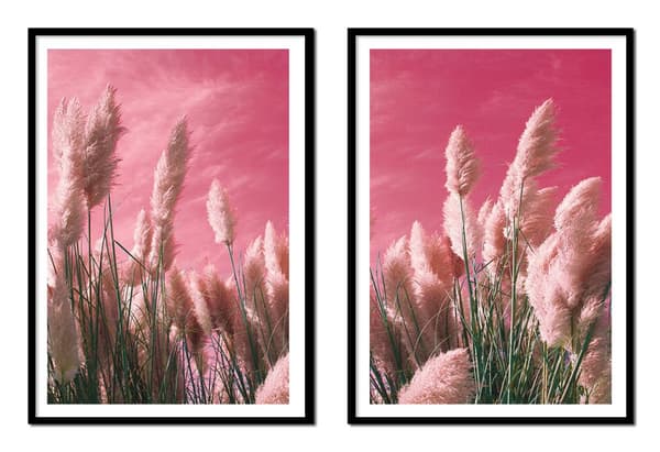 TAVELPOSTERS I RAM 53x73cm Diptyk Set med 2 tavlor Gräs Boho P2155