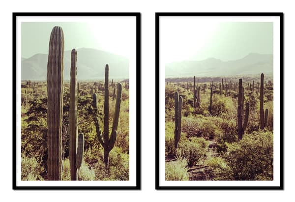 BILLEDPOSTERE I RAMME 53x73cm Diptych Sæt med 2 Boho Kaktus P2163