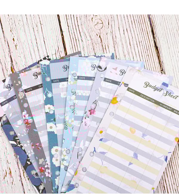 INF Budgetsystem med kuvert i guldfolie (12-pack)