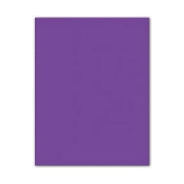 Karton Iris Violet 50 x 65 cm
