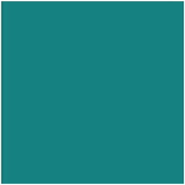 Karton Iris Mint 50 x 65 cm