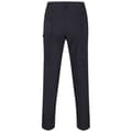 Miniatyrbilde 2 av 4: Regatta Mens Highton Hiking Trousers