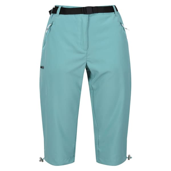 Regatta Womens/Ladies Xert Stretch Casual Shorts