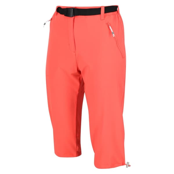 Regatta Womens/Ladies Xert Stretch Casual Shorts