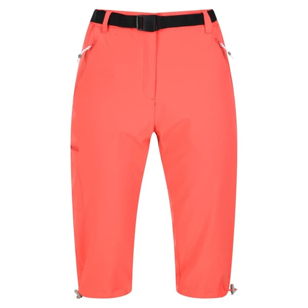 Regatta Womens/Ladies Xert Stretch Casual Shorts