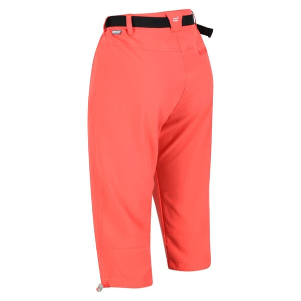 Regatta Womens/Ladies Xert Stretch Casual Shorts