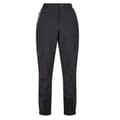 Miniatyrbilde 1 av 5: Regatta Womens/Ladies Mountain III Walking Trousers