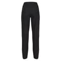 Pikkukuva 2 / 5: Regatta Womens/Ladies Dayhike IV Hiking Trousers
