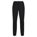 Pikkukuva 1 / 5: Regatta Womens/Ladies Dayhike IV Hiking Trousers