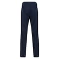 Miniatyrbilde 2 av 4: Regatta Mens Dayhike IV Waterproof Trousers