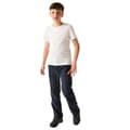 Miniatyrbillede 4 af 4: Regatta Childrens/Kids Softshell Hiking Trousers