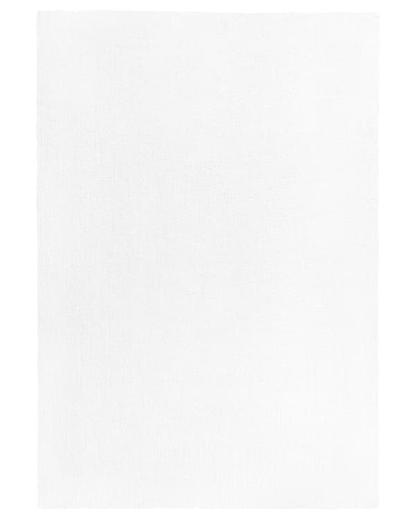 Shaggy Matta Vit 140 x 200 cm Modern Hög lugg Tuftad Rektangulär matta
