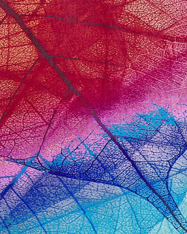 Matta Flerfärgad 160 x 230 cm Lövmönster Modern