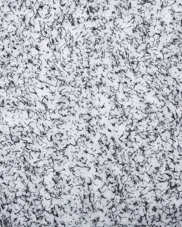 Shaggy Matta Grå Melerad 200 x 300 cm Modern Hög lugg Tuftad Rektangulär matta