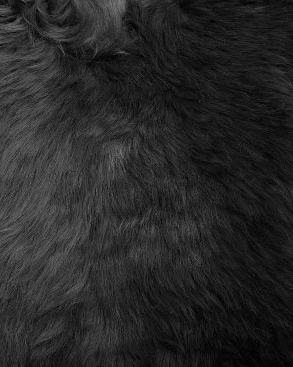 Fåreskind Shaggy 65 x 110 cm ulden sort