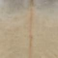 Pikkukuva 4 / 10: vidaXL Aito lehmäntaljamatto 150x170 cm beige