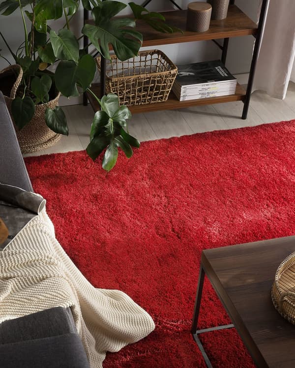 Gulvtæppe Rød Polyester og Bomuld 200 x 300 cm Stor Blød Fluffy Shaggy Uldtæppe til Gulv Entré Stue Sofabord Spisebord Moderne Pigeværelse