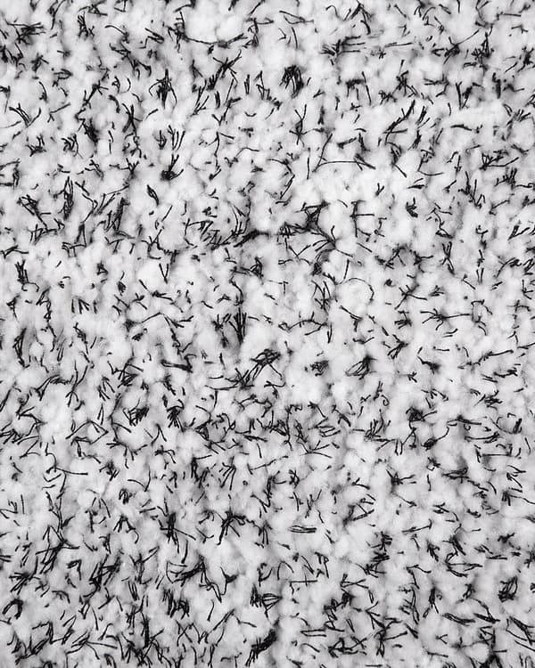 Teppe Grå Svart Hvit Polyester Bomull 140 x 200 cm Shaggy Dekorativt Moderne Tilbehør Innredning
