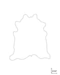 Miniatyrbilde 3 av 6: Lysebrunt Brasiliansk Kuskinnsteppe 3-4 m²