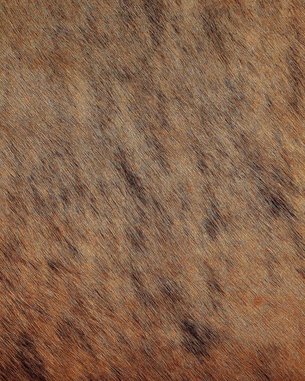 Lysebrunt Brasiliansk Kuskinnsteppe 3-4 m²