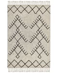 Pikkukuva 1 / 6: Matto beige/musta puuvilla 160 x 230 cm geometrinen kuviointi hapsuilla boho-tyyli