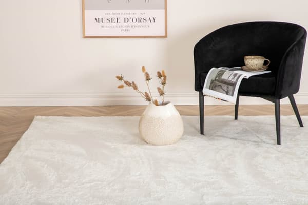 Blanca teppe 300x200 cm polyester hvit.