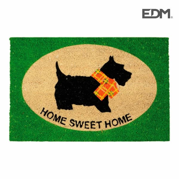 Dörrmatta EDM 74763 Grön 60 x 40 cm Rektangulär