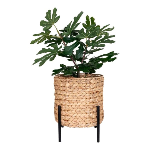 Antas planteskjuler natur,sort.