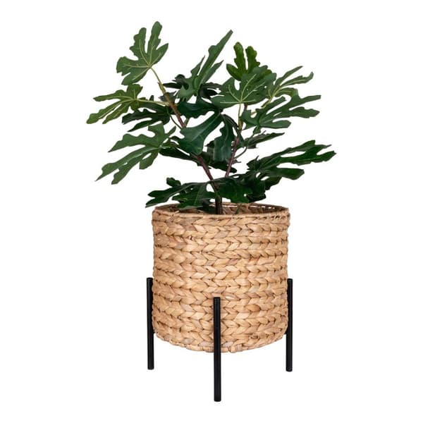 Antas planteskjuler natur,sort.