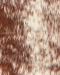 Miniatyrbild 6 av 6: Matta Brun Konstläder 150 x 200 cm med Oregelbundet Komönster Rustik Stil Vardagsrum Sovrum