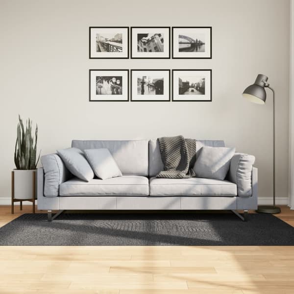 The Living Store Matta IZA kort lugg skandinavisk look antracit 100x200 cm - Mattor