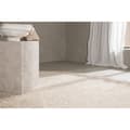 Miniatyrbilde 4 av 5: Walter teppe 340x240cm beige.