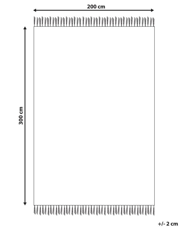 Kelim-matto monivärinen puuvilla 200 x 300 cm käsin kudottu kaksipuolinen geometrinen kuvio hapsuilla perinteinen boho tyyli