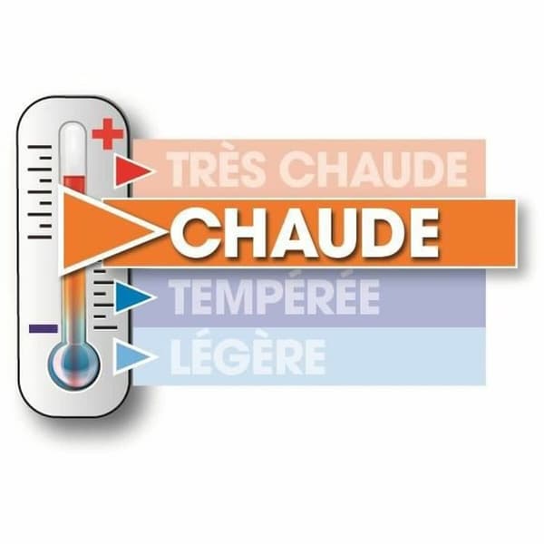 Ederdunsdyne 240 x 260 cm Hvid 400 g /m² Cálido