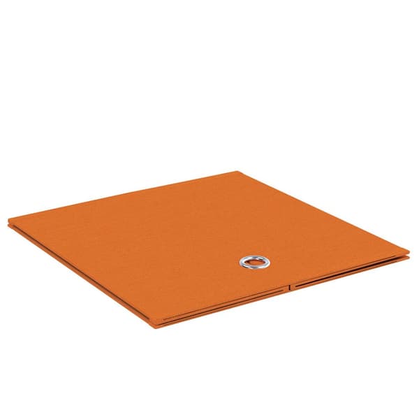 Boxas2 oppbevaringsboks oransje.