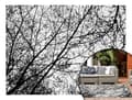 Miniatyrbild 1 av 7: MATTA TUTUMI TREES 140X200 BLACK WHITE