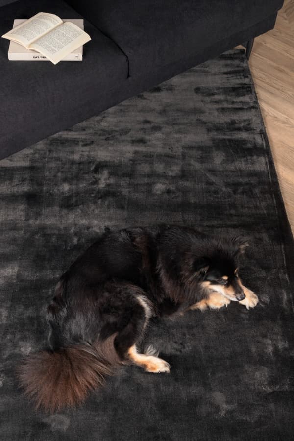 Brillo Grå Viskosmatta
