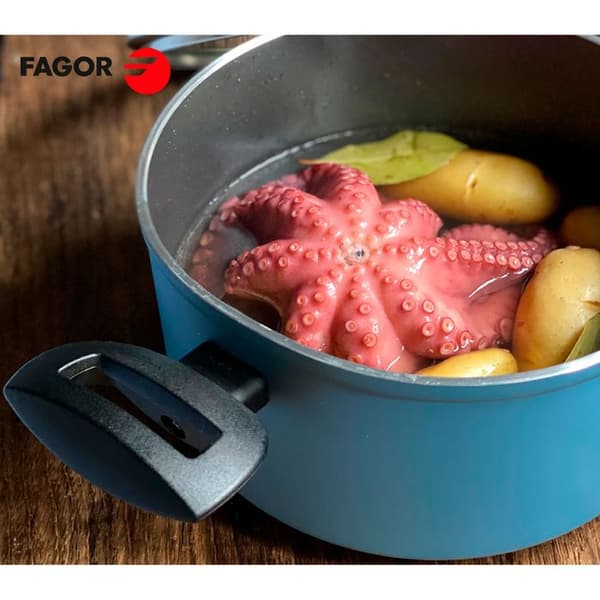 Kastrull Induktion 20cm Smidd aluminium, PFOA-fri non-stick, Glaslock FAGOR Maxima Red 01199