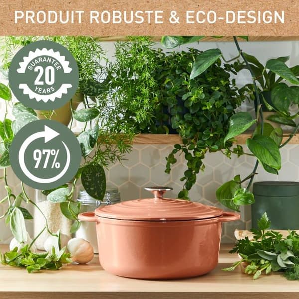 Cocotte Tefal - E2600604