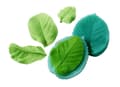 Miniatyrbillede 1 af 2: Silikoneform til sukkerpasta, aftryk, LIMEBLAD