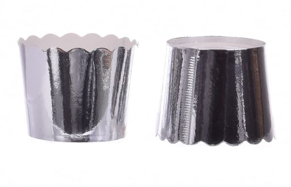 Pitkät SILVER paperirullat 50x48 mm / 48 kpl