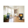 Miniatyrbild 3 av 5: Godin Vedspis 8kw - 388131