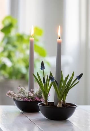 Candle bowls 2-pack