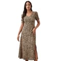 Miniatyrbillede 1 af 2: Dorothy Perkins Midikjole med korte ærmer med leopardprint til kvinder/damer