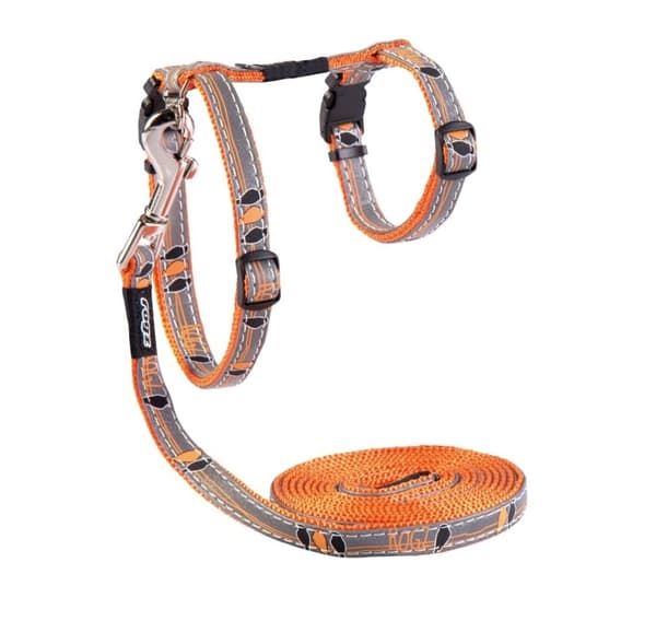 Kattesele og bly NightCat, oransje, 24-40cm/1,8m